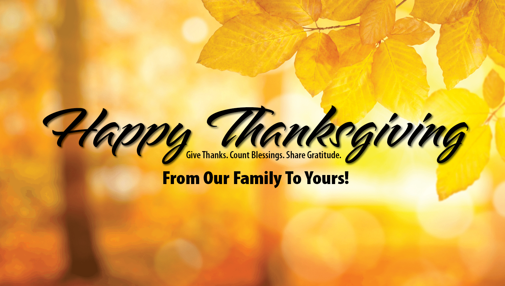 Happy Thanksgiving. Give Thanks. Count Blessings. Share Gratitude. From Our Family To Yours!